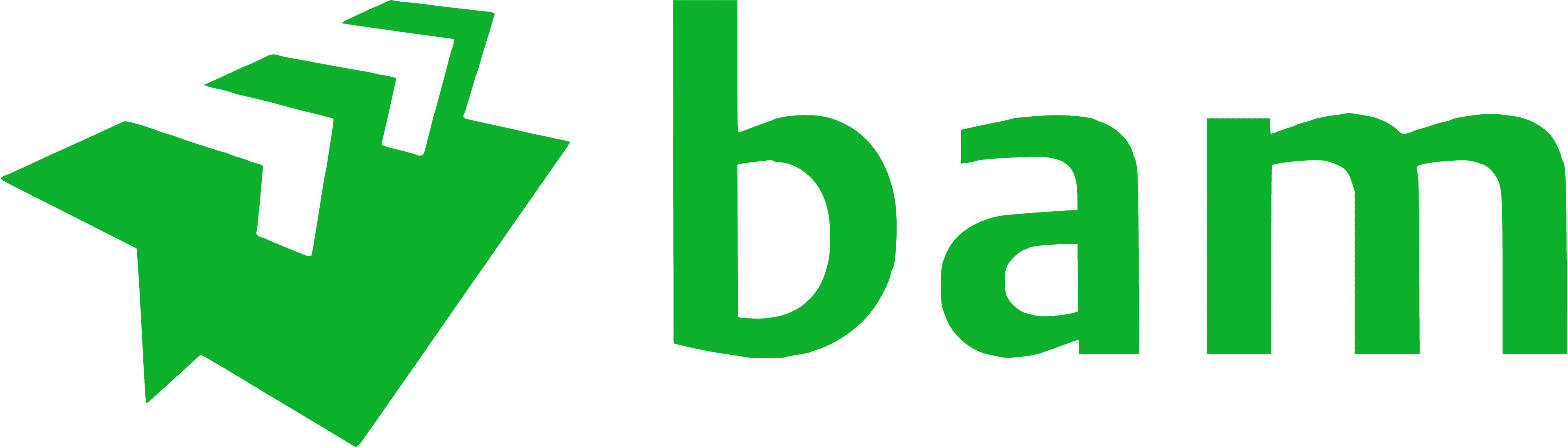 BAM Construction